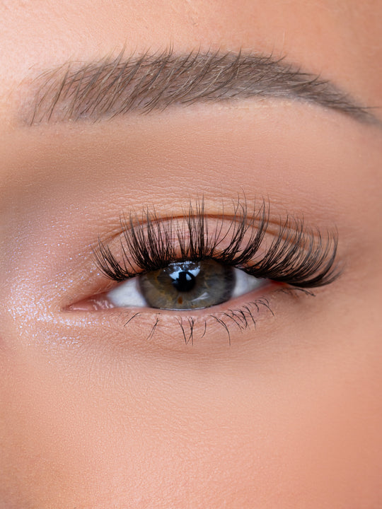 OBSESSED STARTER BOX - MERCURY